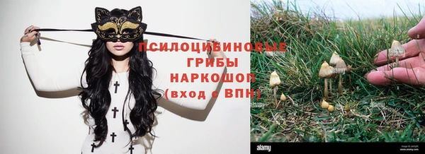 альфа пвп Каменск-Шахтинский